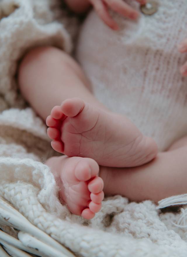 Newborn de Ensaio Newborn Yuri - 24 dias