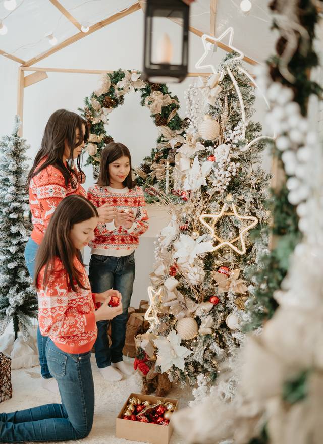 Gestante de Especial de Natal 2025 - 