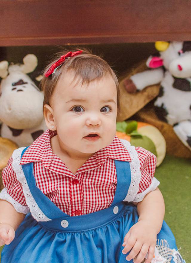 Festa infantil de Fazendinha da Yasmin - 1 aninho