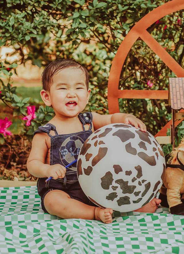 Ensaio 1 ano-Smash de Smash the Cake do Rodrigo