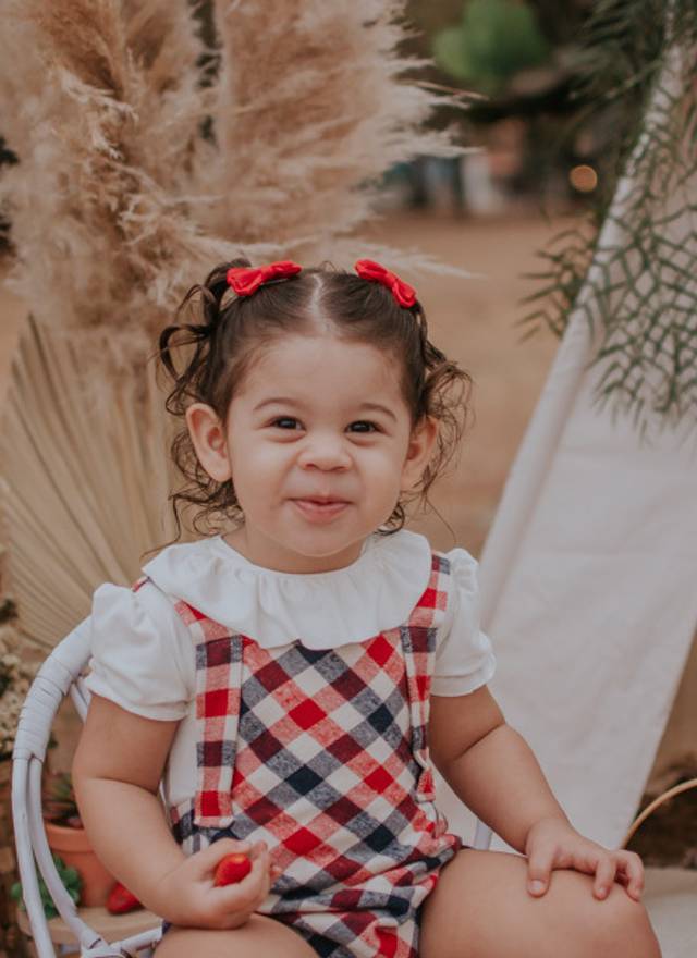 Familia de Picnic de Morangos da Sofia