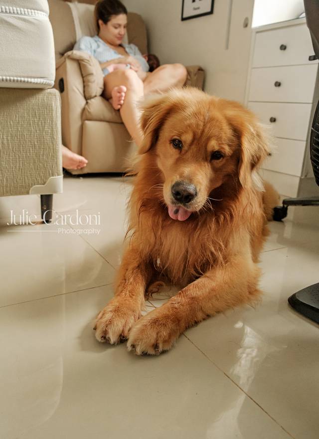 Newborn Lifestyle de Bento 22 dias