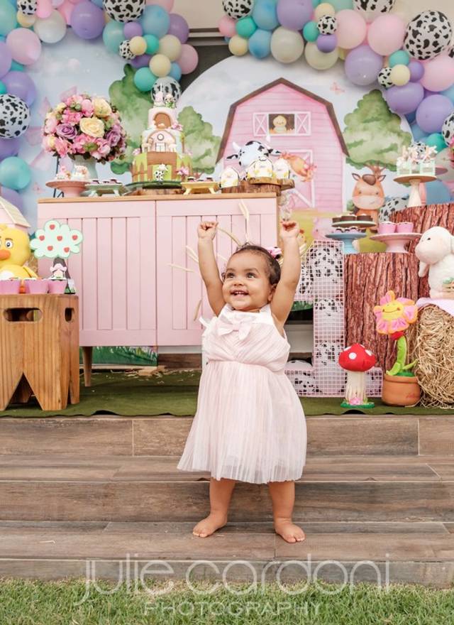 Aniversáio Infantil de Aniversário Clara - 1 ano