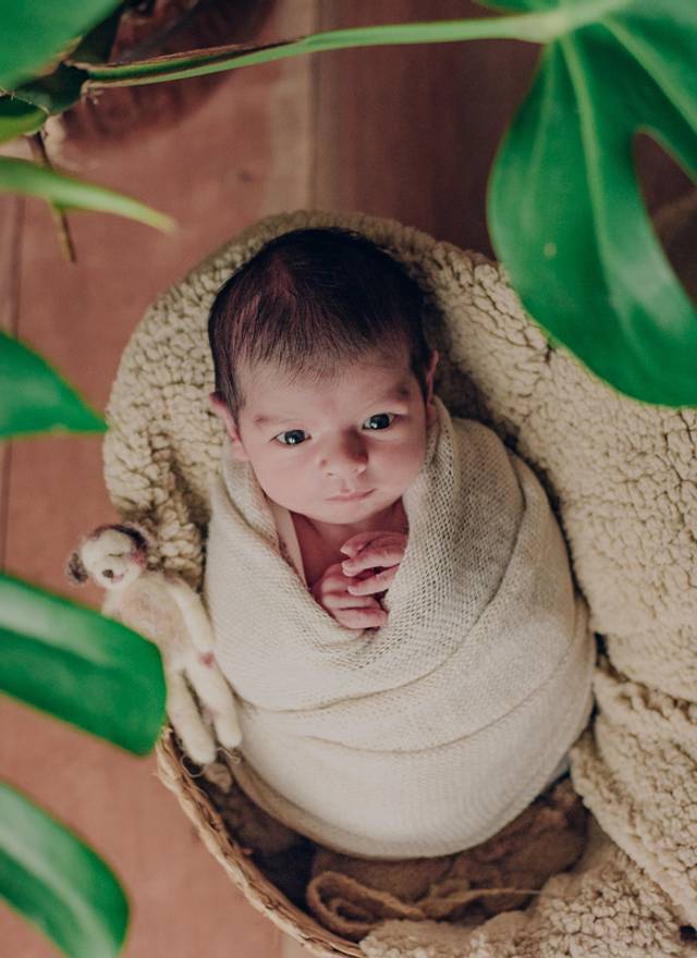 Newborn de Newborn Thales