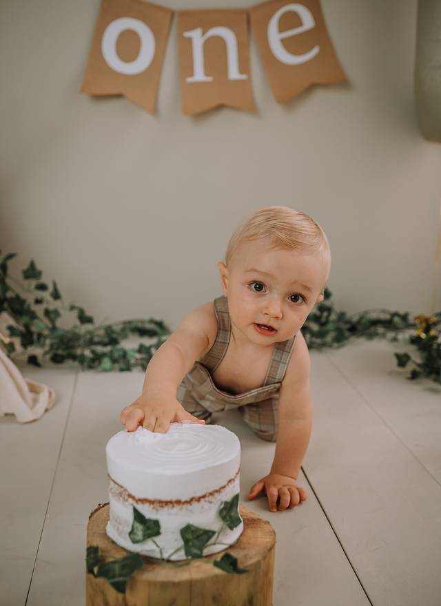 Infantil de Smash the Cake- Bento