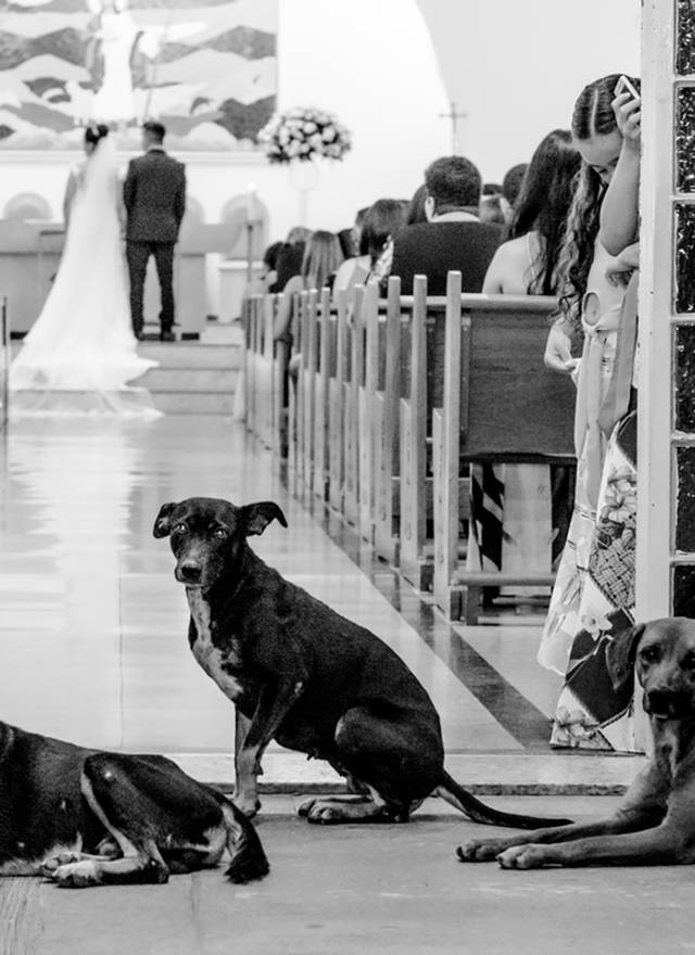 PREMIAÇÕES de Premiação Internacional - WPE Awards International Photography