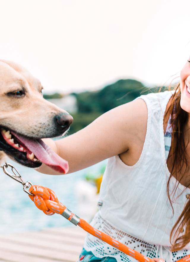 Ser de Prizita e Heineken