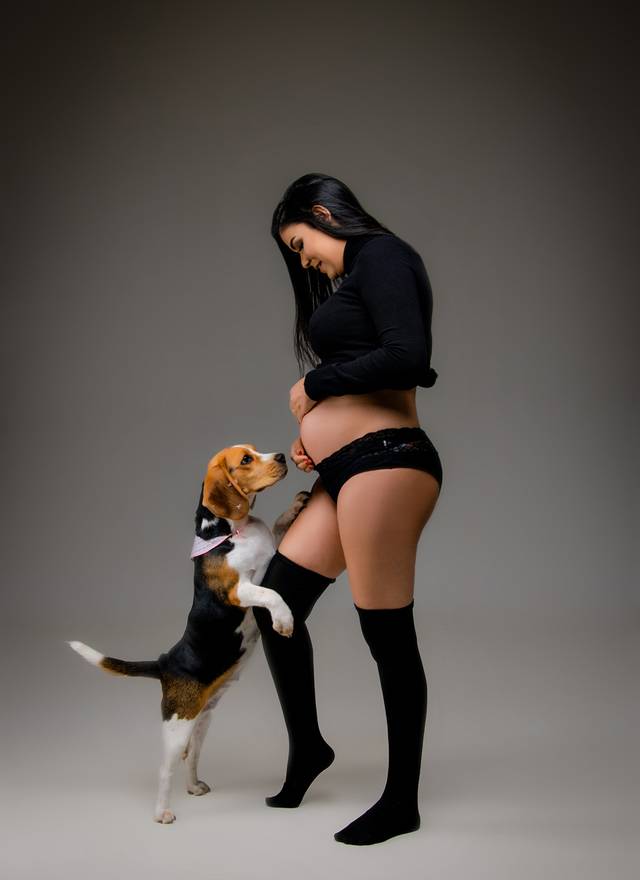 Book Gestante de Ensaios Gestantes