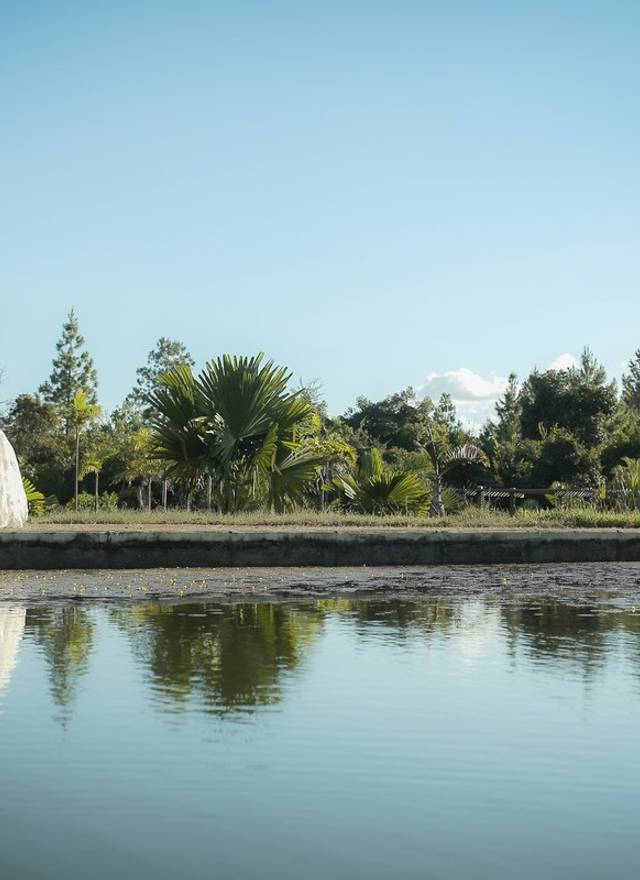 Ensaio Noiva de Lilian Noiva - Jardim Botanico
