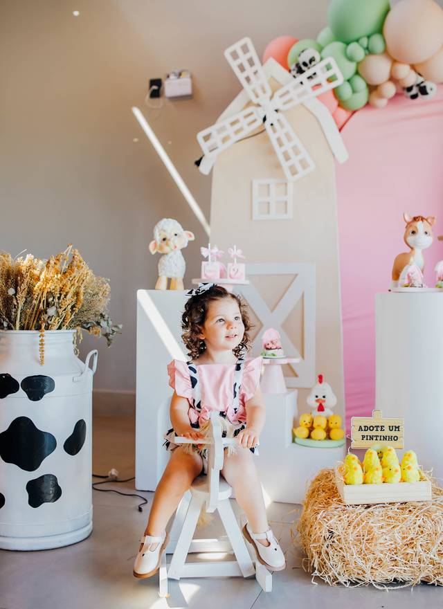 Aniversário Infantil de Luiza 2 Anos!
