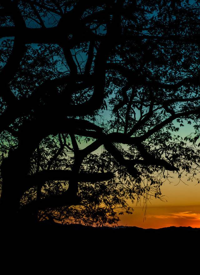 Pré-Wedding de Paty & Thiago