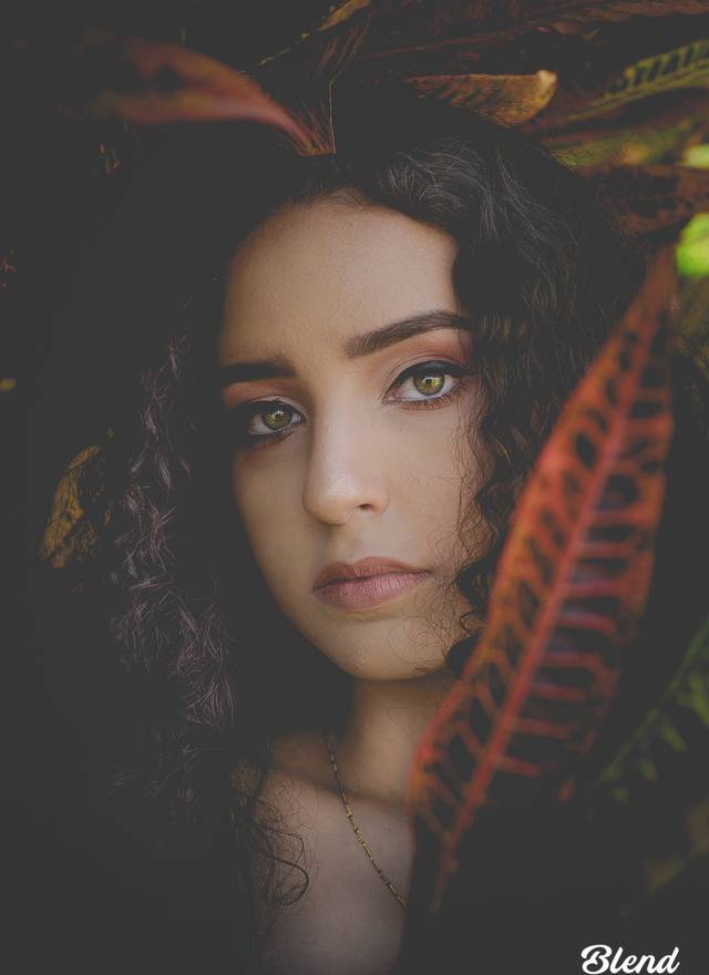 15 Anos de Maria Luíza