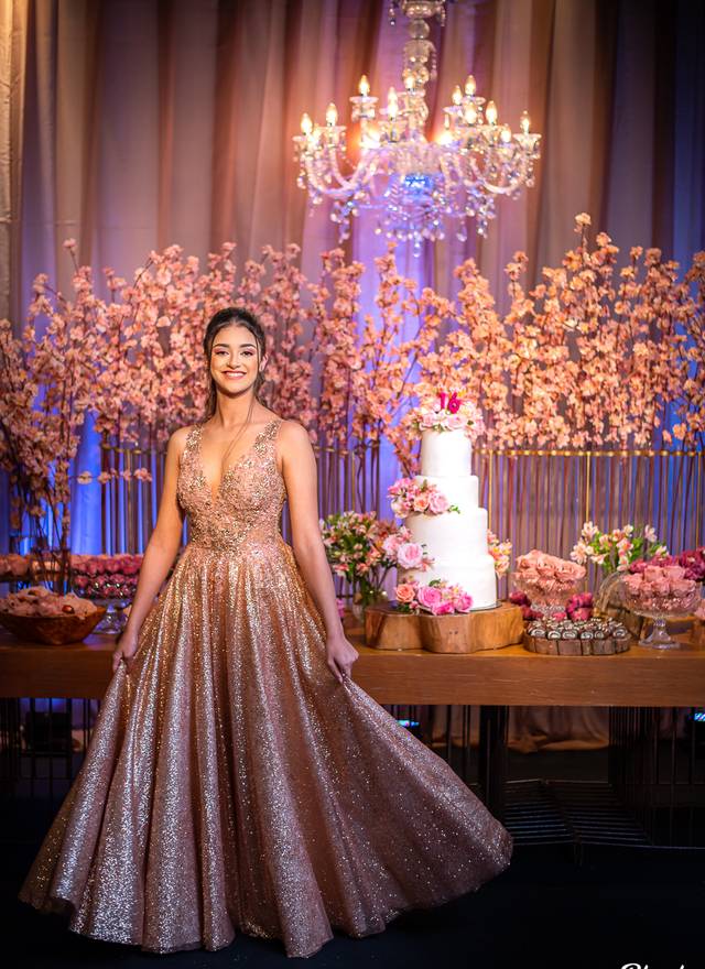 15 Anos de Festa Sofia