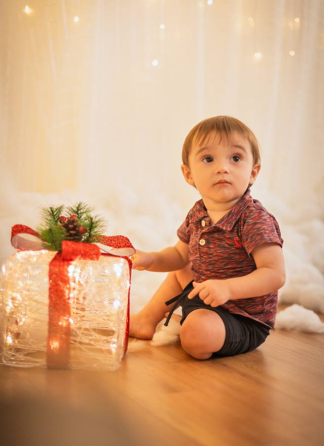 Família de Ensaio de Natal 2024: Júlia & Família