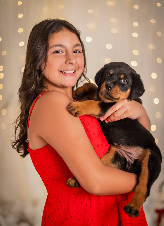 Família de Ensaio de Natal: Ellen & Família