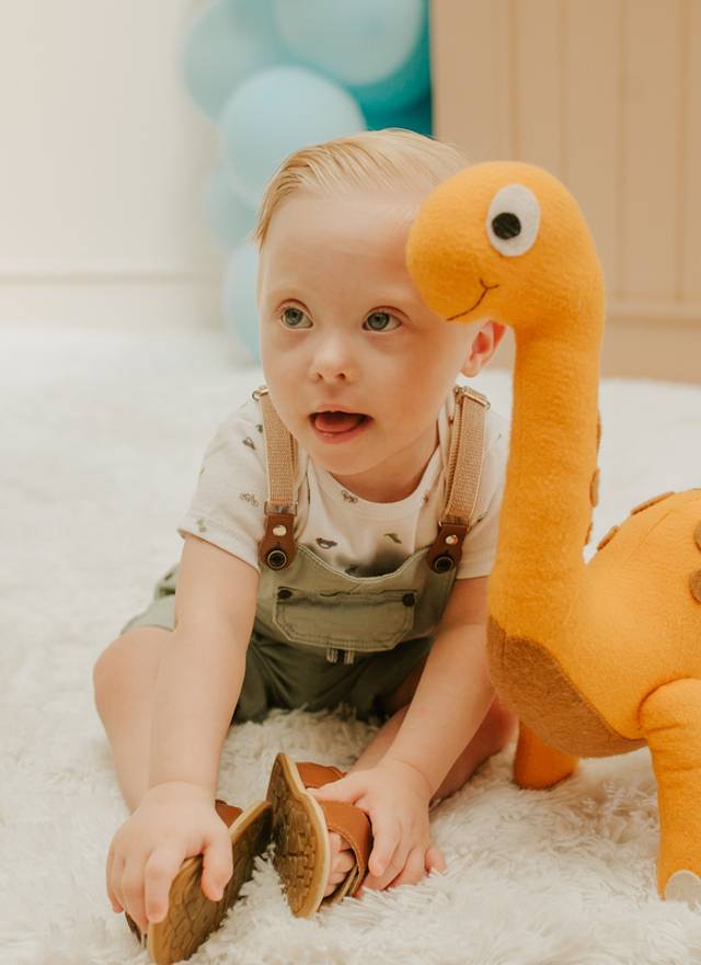 Aniversário Infantil de Noah - 1 ano