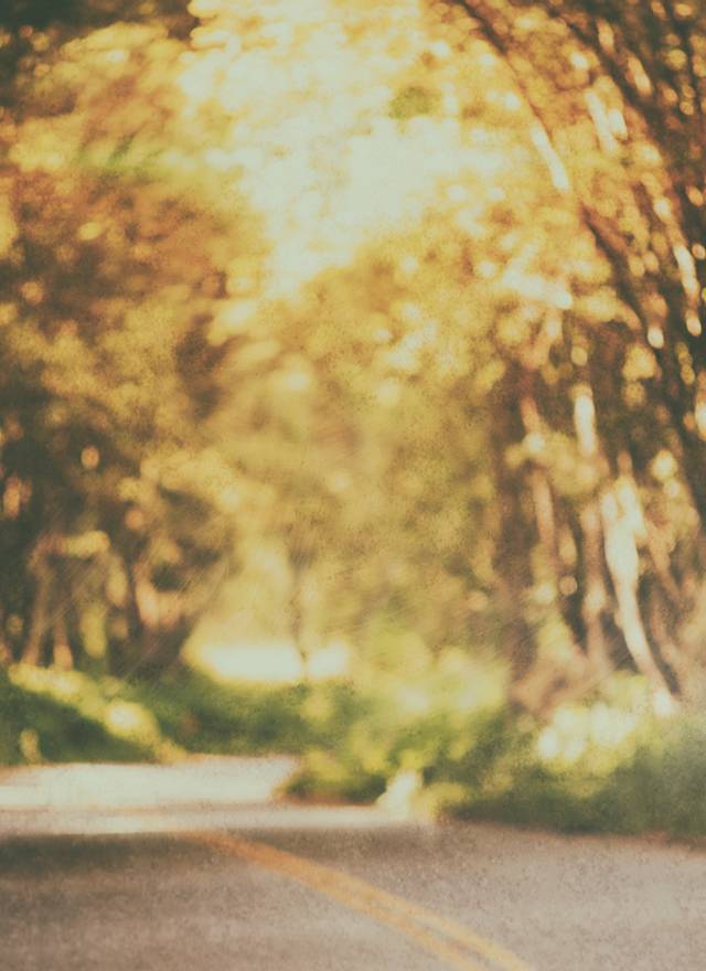 Love Day de Alice e Renato