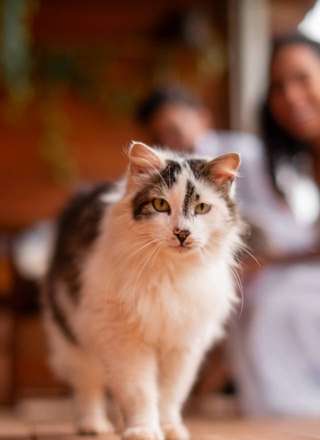 Pré Wedding  de Pre Wedding Beatriz e Jackson