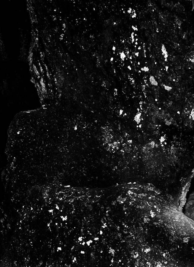 Session de Dia de namoro - Amanda & Bernardo