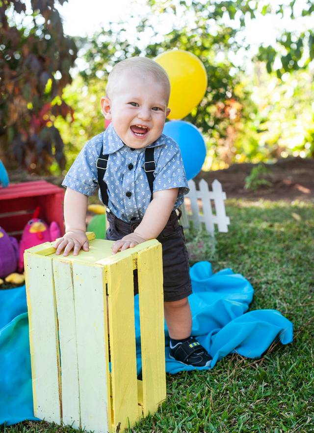 ACOMPANHAMENTO MENSAL de 1 ANO - RAVI