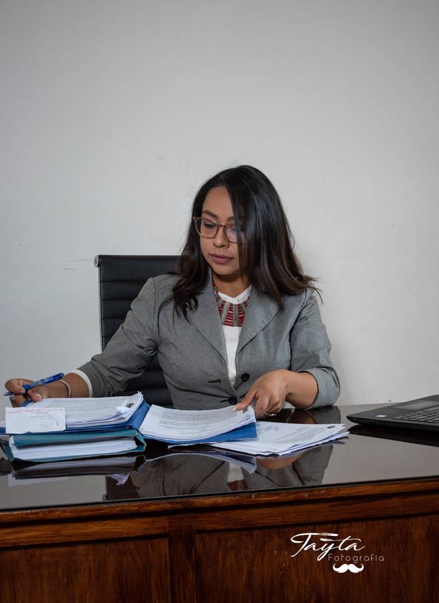 Perfil Profesional de FIDEM