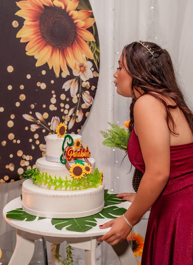 Aniversário de 15 Anos Lana