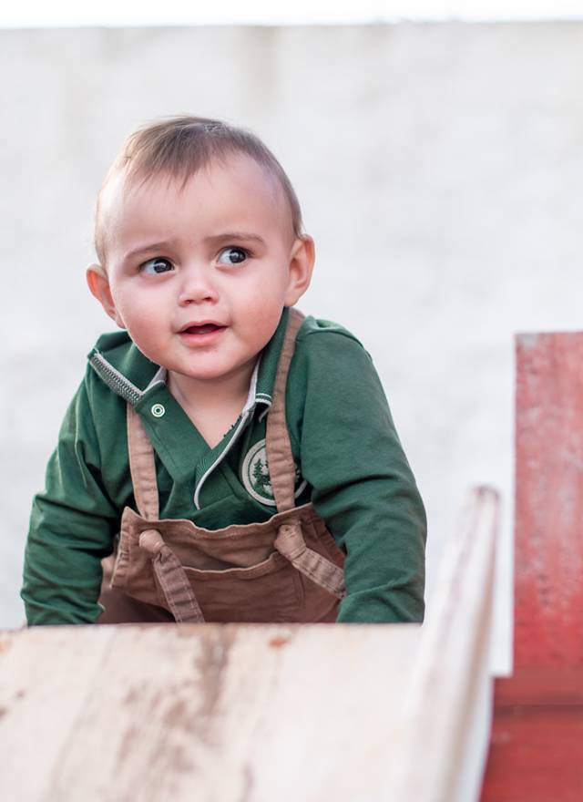 Aniversário de Aniversário Benício - 1 ano