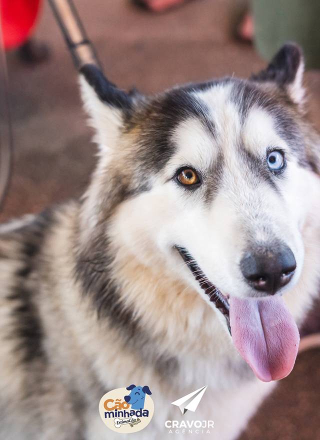 Eventos de Estimacão 2022