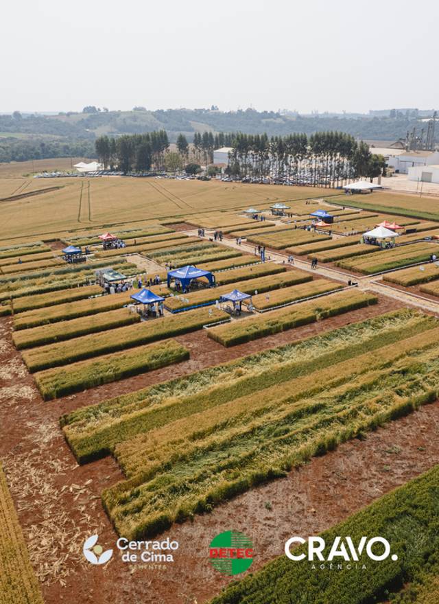 Agro de Expotrigo 2024 - DETEC / Cerrado de Cima