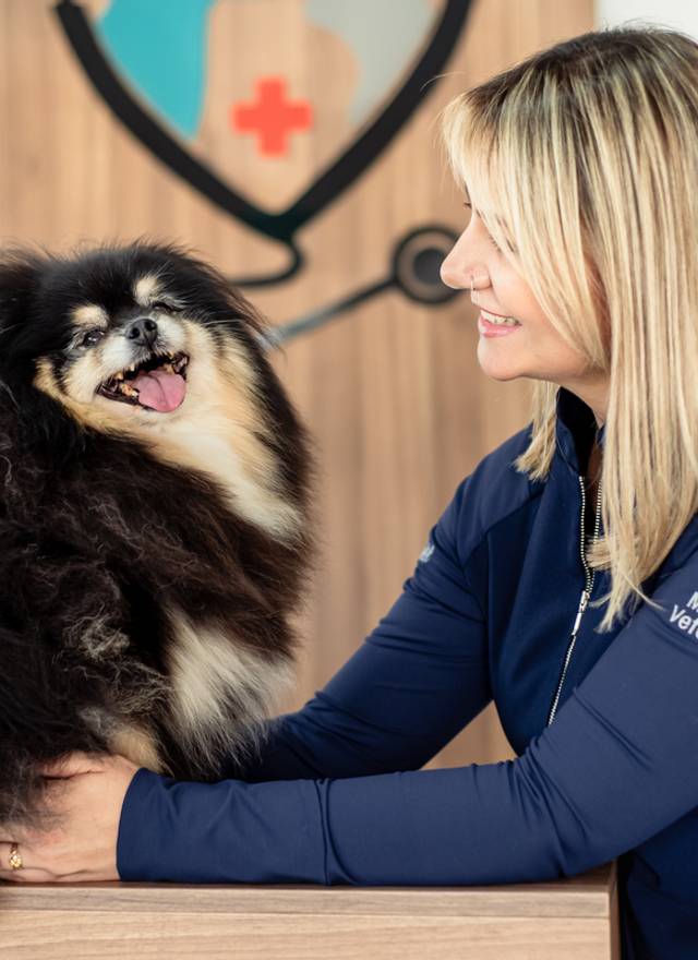 Estúdio/Corporativo de Clinica Veterninária - Le Petit