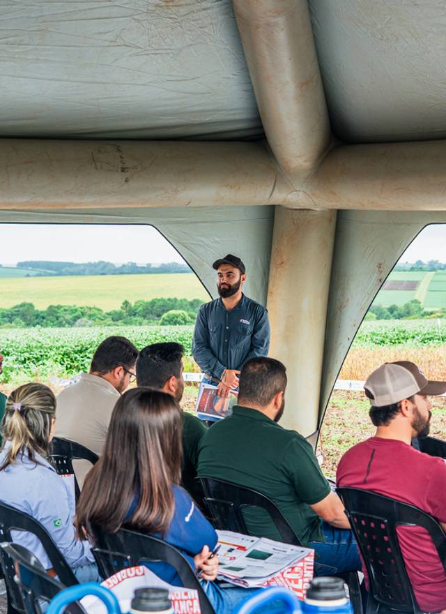 Agro de Dia de Campo - Golden Harvest