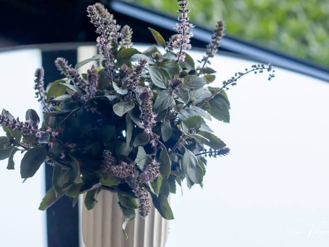 Eventos de Aniversáio