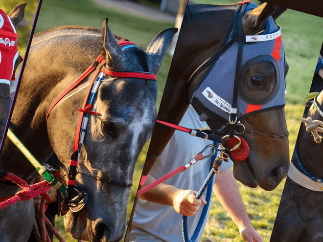 Corrida de GP Haras Gherar e           GP Guido Irineu Pelanda. 22/08/25