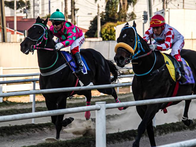 Corrida de Eliminatórias GP Haras Gherar e GP Guido Irineu Pelanda. 