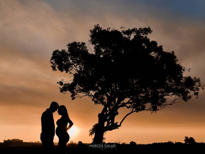 Gestante de Ensaio Gestante Cintia