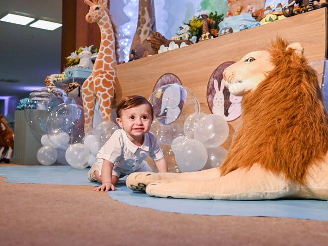 Aniversário de Pedro-1 aninho- Arca de Noé