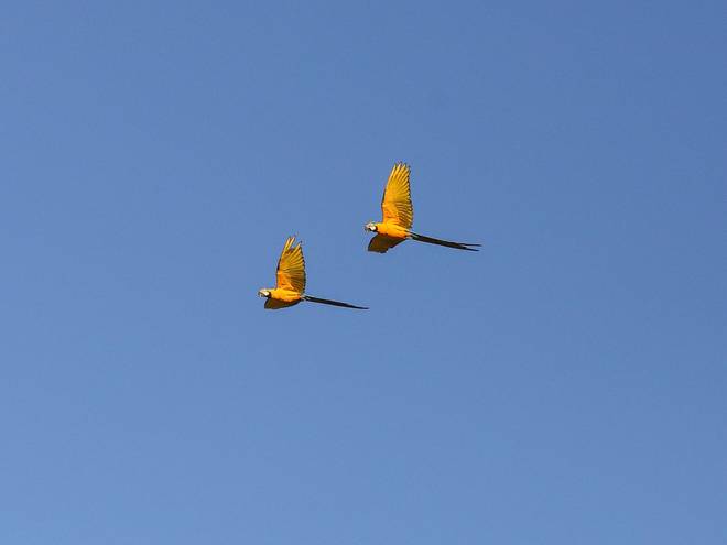 Ensaios de Kessia & Walisson 