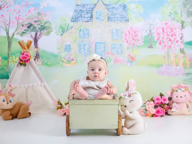 Bebes de Lorena - Acompanhamento mensal 