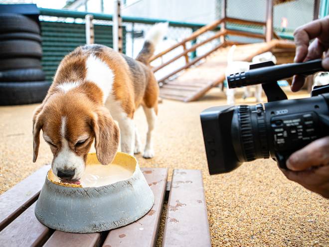 PROJETOS TEMÁTICOS de AUFABETO