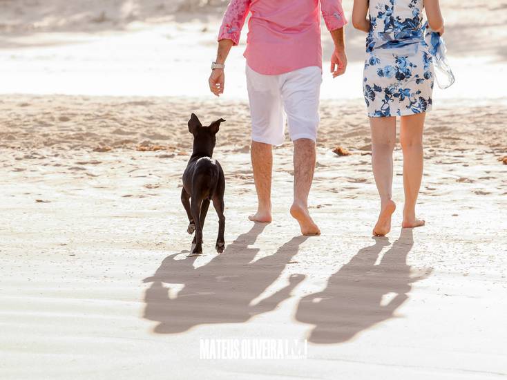 Ensaios de Fernando e Maria