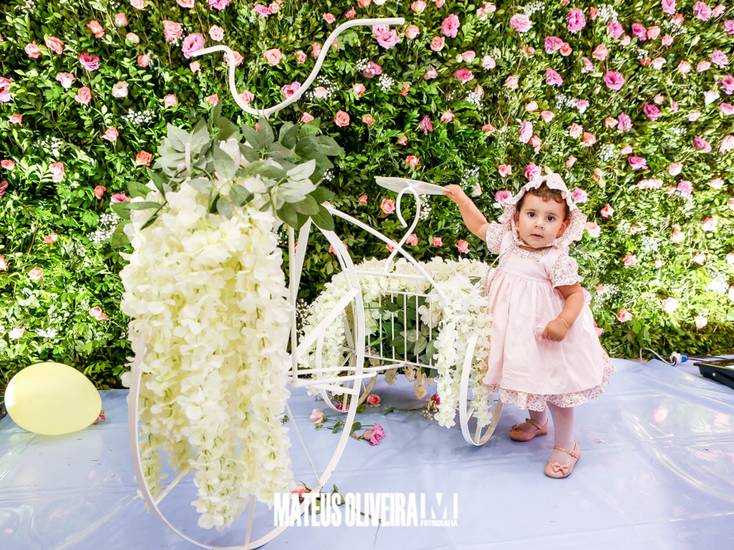 Aniversários de 1 Aninho Luiza