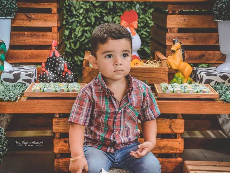 ANIVERSÁRIO  de  Lorenzo 2 Aninho