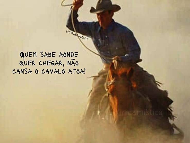 Seu amor de volta de Xetruá seu boiadeiro 