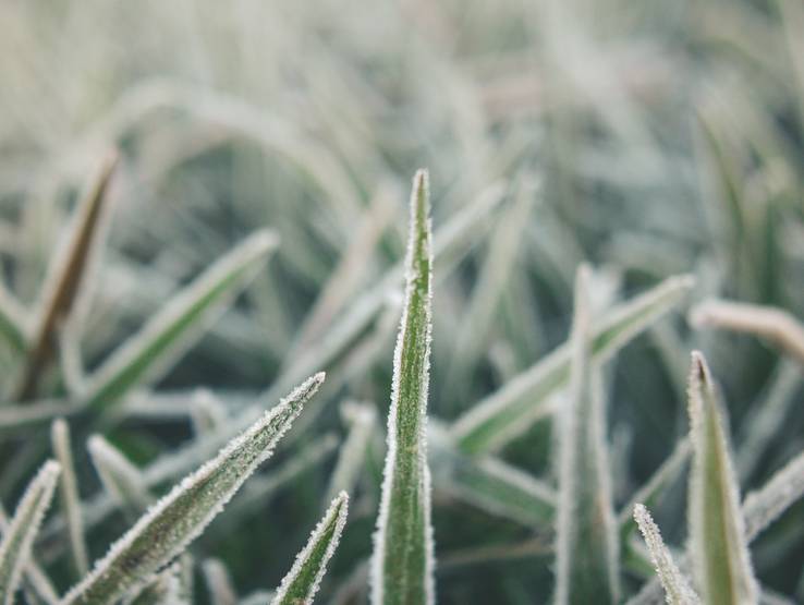 Autoral de Cotidiano