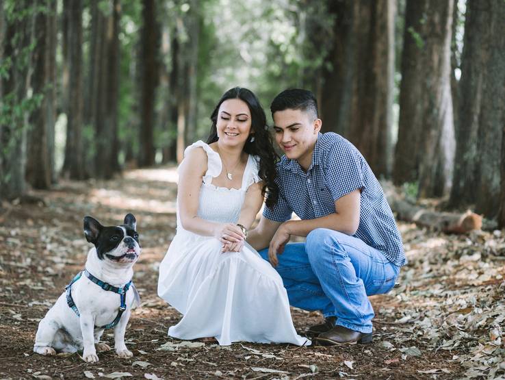 Ensaio Externo de Kimberly