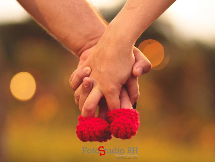 Gestante de Book Gestante 