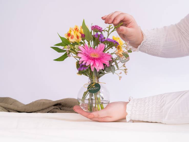 Fotografia de Produto de CAMPANHA PARA BOM JESUS FLORICULTURA