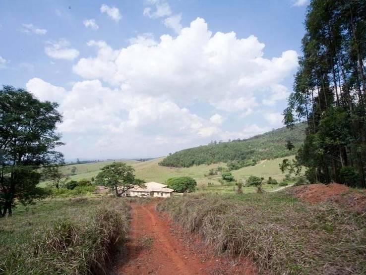 FAZENDAS de VENDO ÓTIMA FAZENDA PARA PLÂNTIO E OUTRAS CULTURAS.
