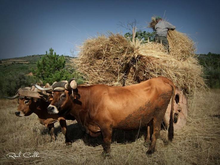 Eventos de Venda de Fotos