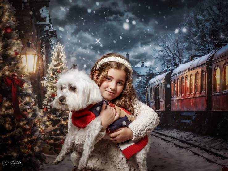 Sessões Natal de SESSÃO de NATAL - 30 Novembro 2024 - Princesa Leonor